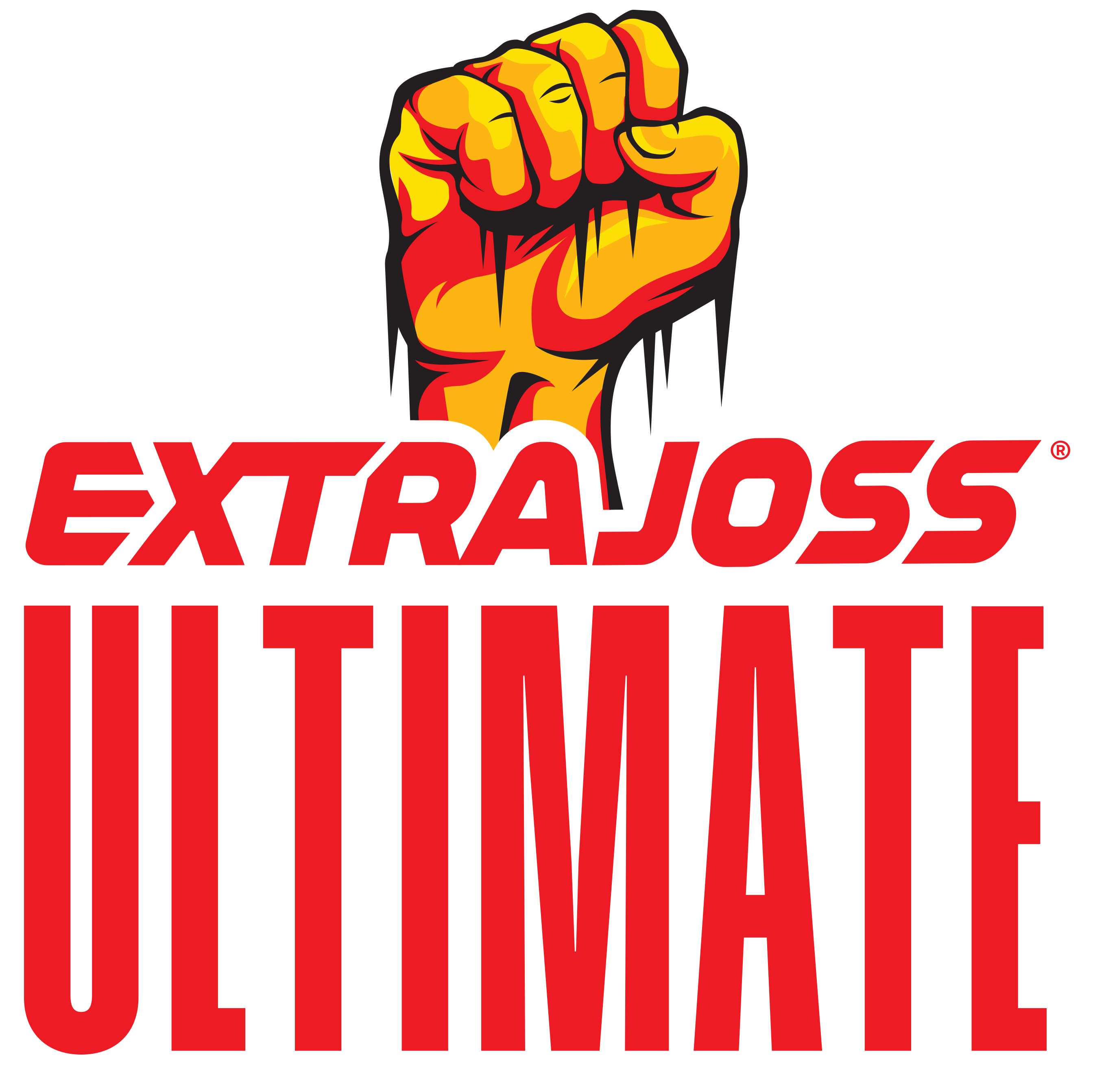 logo-sponsor